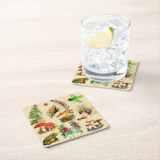 Bos, wilde paddenstoelen kartonnen onderzetters (Insitu)