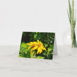 Bos zonnebloemen - welkomstgroet kaart