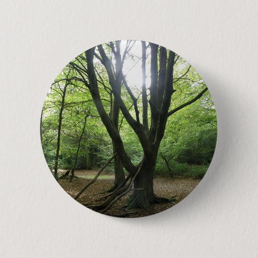 Bos Zonneschijn Knop Ronde Button 5,7 Cm (Voorkant)