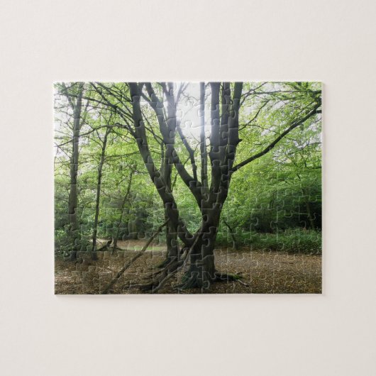 Bos Zonneschijn Puzzel (Horizontaal)