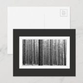 Bos (zwart en wit) briefkaart (Voorkant / Achterkant)