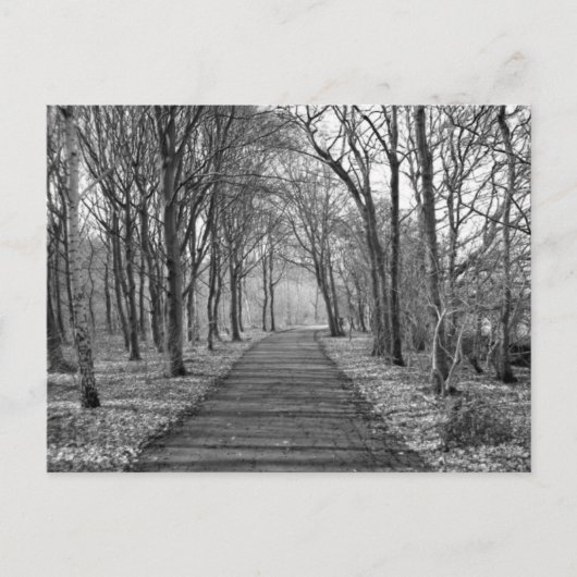 Bos, zwart/wit briefkaart (Voorkant)