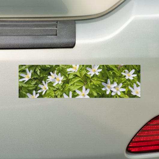 Bosanemoon Bumpersticker (Op auto)