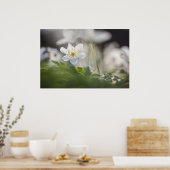Bosanemoon Natuur Foto Poster (Keuken)