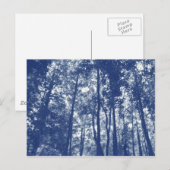 Bosbaldak - Cyanotype-effect Briefkaart (Voorkant / Achterkant)