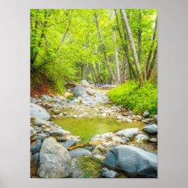 Bosbeek Fotoafdruk | Groen Boslandschap Kunst Poster