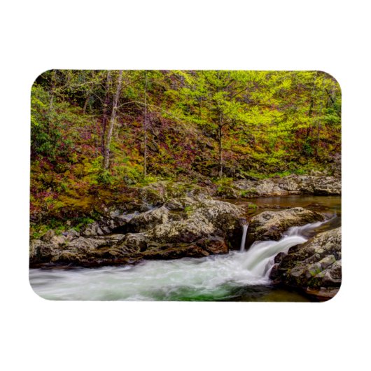 Bosbeek in Great Smoky Mountains Magneet (Horizontaal)