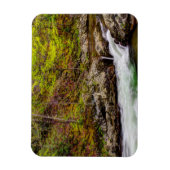 Bosbeek in Great Smoky Mountains Magneet (Verticaal)