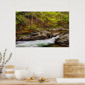 Bosbeek in Great Smoky Mountains Poster (Keuken)