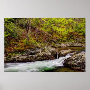 Bosbeek in Great Smoky Mountains Poster