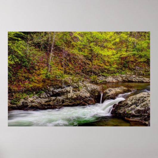 Bosbeek in Great Smoky Mountains Poster (Voorkant)
