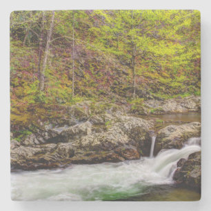 Bosbeek in Great Smoky Mountains Stenen Onderzetter
