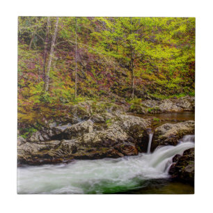 Bosbeek in Great Smoky Mountains Tegeltje