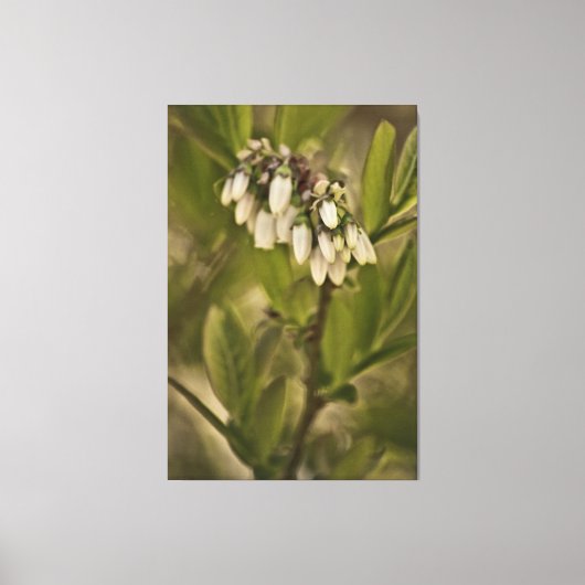 Bosbes 585 canvas afdruk (Voorkant)