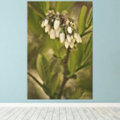 Bosbes 585 canvas afdruk (Insitu (Houten vloer))