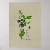 Bosbes botanisch met bij en bloem poster (Voorkant)