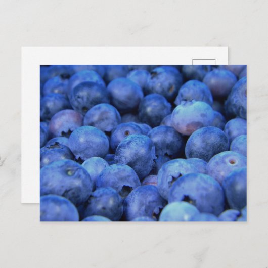 bosbes briefkaart (Voorkant / Achterkant)