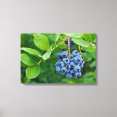 bosbes tros op struik canvas afdruk (Voorkant)