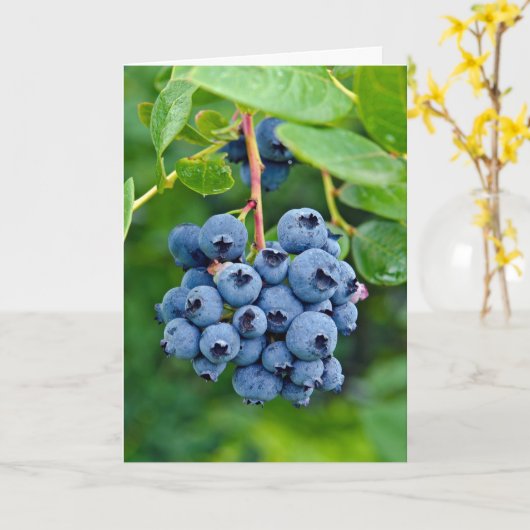 bosbes verjaardag kaart (Gele Bloem)