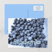 bosbessen briefkaart (Voorkant / Achterkant)