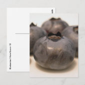 Bosbessen die ik heb gekend 18 briefkaart (Voorkant / Achterkant)
