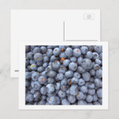 bosbessen, foto genomen in een boerderij bosbes briefkaart (Voorkant / Achterkant)