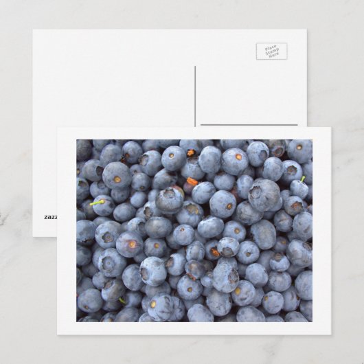 bosbessen, foto genomen in een boerderij bosbes briefkaart (Voorkant / Achterkant)