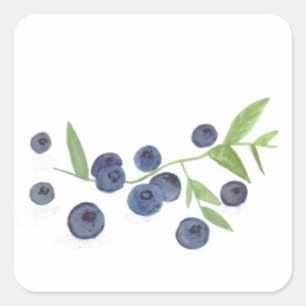 Bosbessen fruit keukendecoratie aquarel vierkante sticker