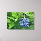 bosbessen op struik canvas afdruk (Voorkant)