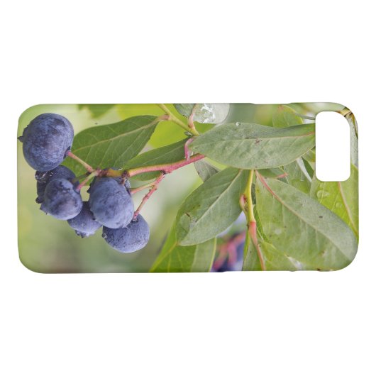 bosbessen op struik Case-Mate iPhone case (Achterkant (Horizontaal))
