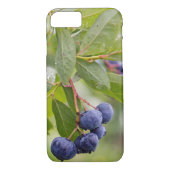 bosbessen op struik Case-Mate iPhone case (Achterkant)