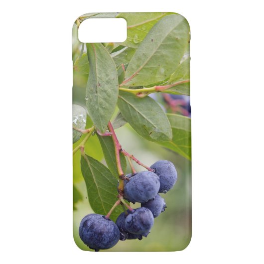 bosbessen op struik Case-Mate iPhone case (Achterkant)