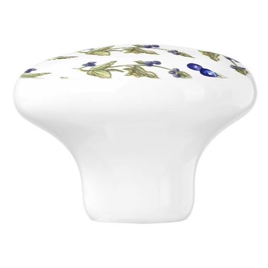 Bosbessen op wijnstok lade knop (Zijkant)