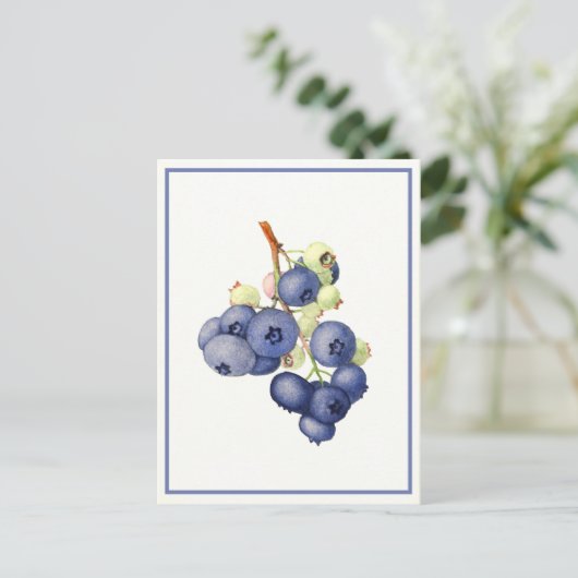  bosbessen Waterverf botanisch Briefkaart (Staand voorkant)