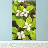 bosbessenbloemen canvas afdruk (Insitu (Houten vloer))