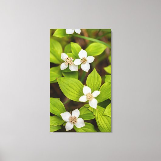 bosbessenbloemen canvas afdruk (Voorkant)
