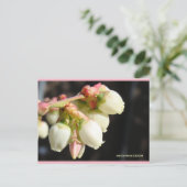 bosbessenbloesems | Blue Beach Song™-Briefkaart Briefkaart (Staand voorkant)