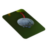 bosbessenmagneet magneet (Rechterzijde)