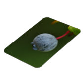 bosbessenmagneet magneet (Linkerzijde)