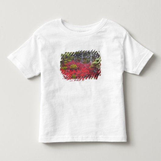 Bosbessenstruiken en dennenbomen kinder shirts (Voorkant)