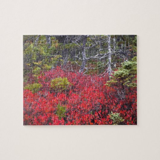 Bosbessenstruiken en dennenbomen legpuzzel (Horizontaal)