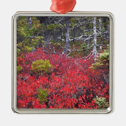 Bosbessenstruiken en dennenbomen metalen ornament (Voorkant)