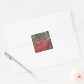 Bosbessenstruiken en dennenbomen vierkante sticker (Envelop)