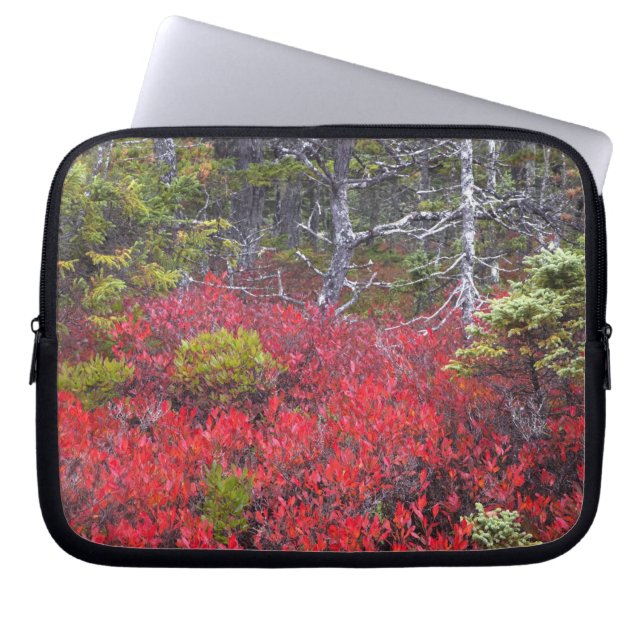 Bosbesstruiken en dennenbomen laptop sleeve (Voorkant)