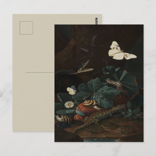  bosbodem stilleven briefkaart (Voorkant / Achterkant)