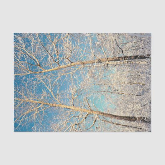 Bosbomen Blauwe Lucht Winter Boslandschap Tissuepapier (Voorkant)