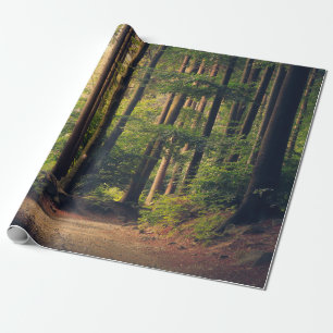 BOSBOMEN CADEAUPAPIER