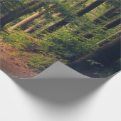 BOSBOMEN CADEAUPAPIER (Hoek)