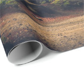 BOSBOMEN CADEAUPAPIER (Rol Hoek)