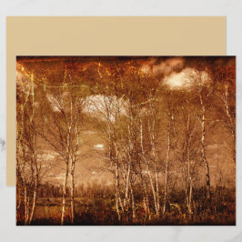 Bosbomen Grunge Rustic Texture Clouds